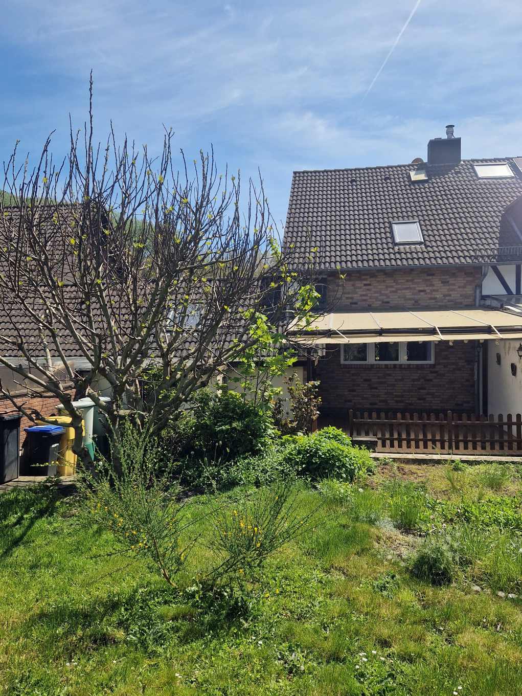 Rückansicht eines Wohnhauses mit Ziegeldach, Markise und dicht bewachsenem Garten